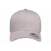 Кепка FlexFit 6606 Retro Trucker - Silver Кепка FlexFit 6606 Retro Trucker - Silver